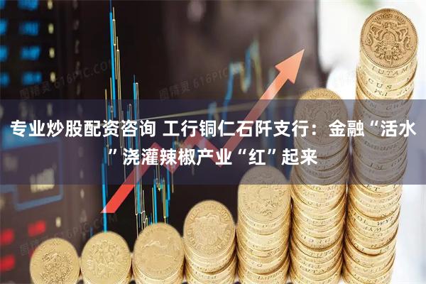 专业炒股配资咨询 工行铜仁石阡支行：金融“活水”浇灌辣椒产业“红”起来